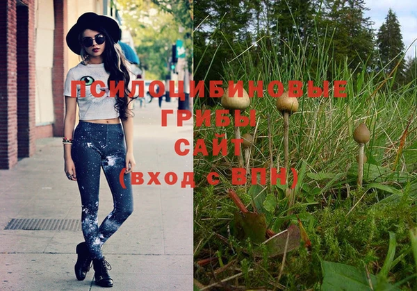спиды Нязепетровск