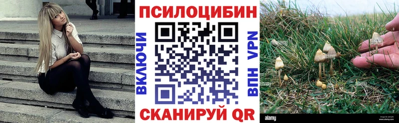 Галлюциногенные грибы прущие грибы  Агидель 